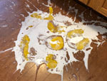 broken eggs smashed